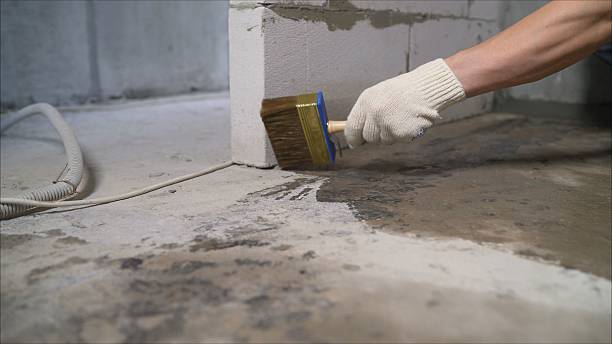 Crawl space vapor barrier installation in Wayland, NY